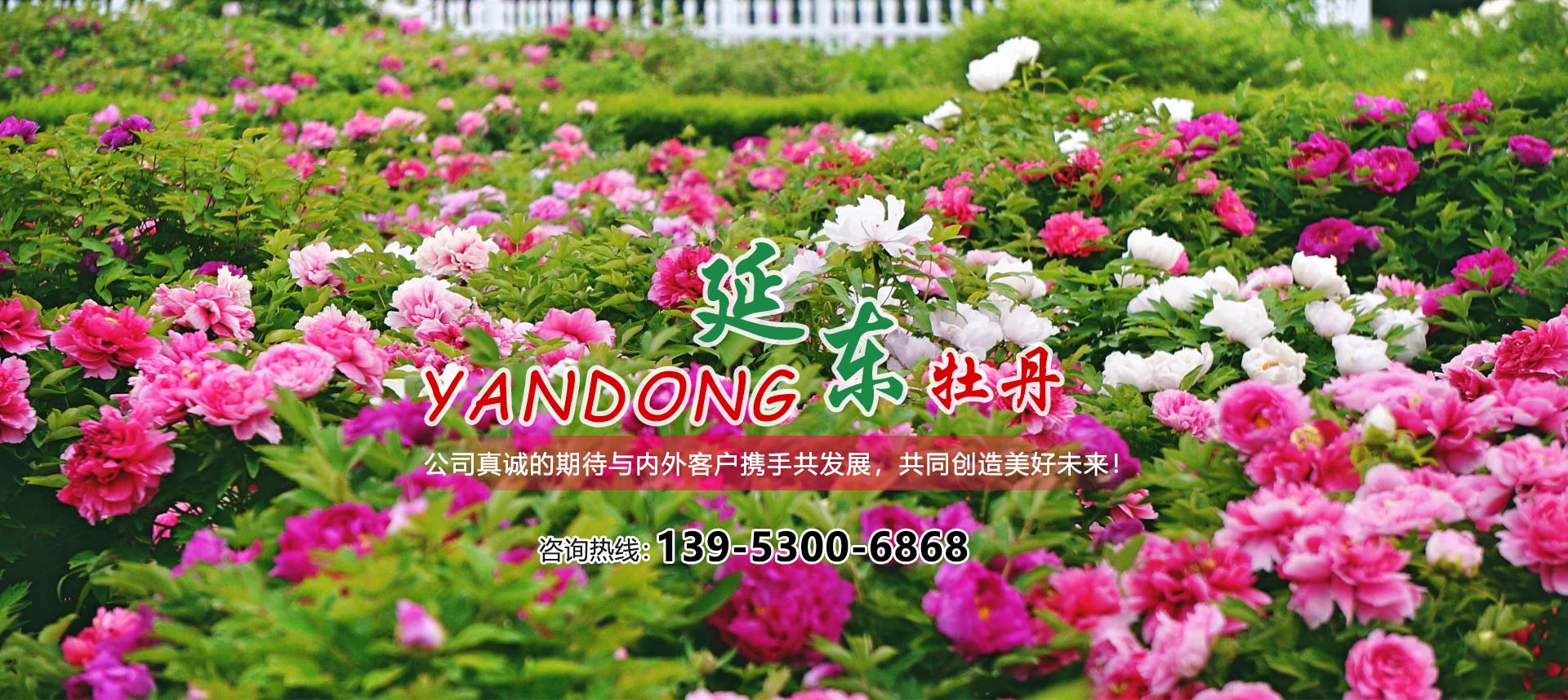 企業(yè)簡介